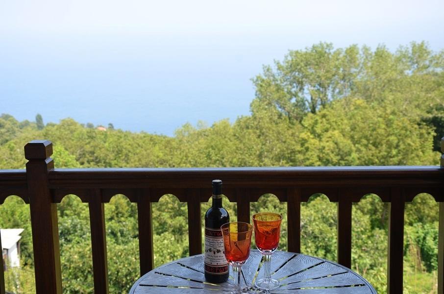 Guesthouse Kalosorisma Цагкарада Номер фото